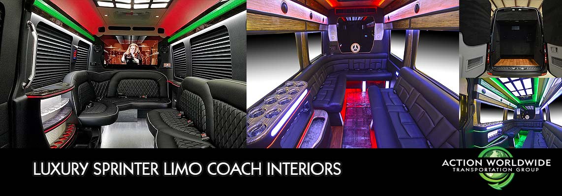 Atlanta Halloween Sprinter Limo Service, Atlanta Party Bus Limousine Halloween, Atlanta Limo